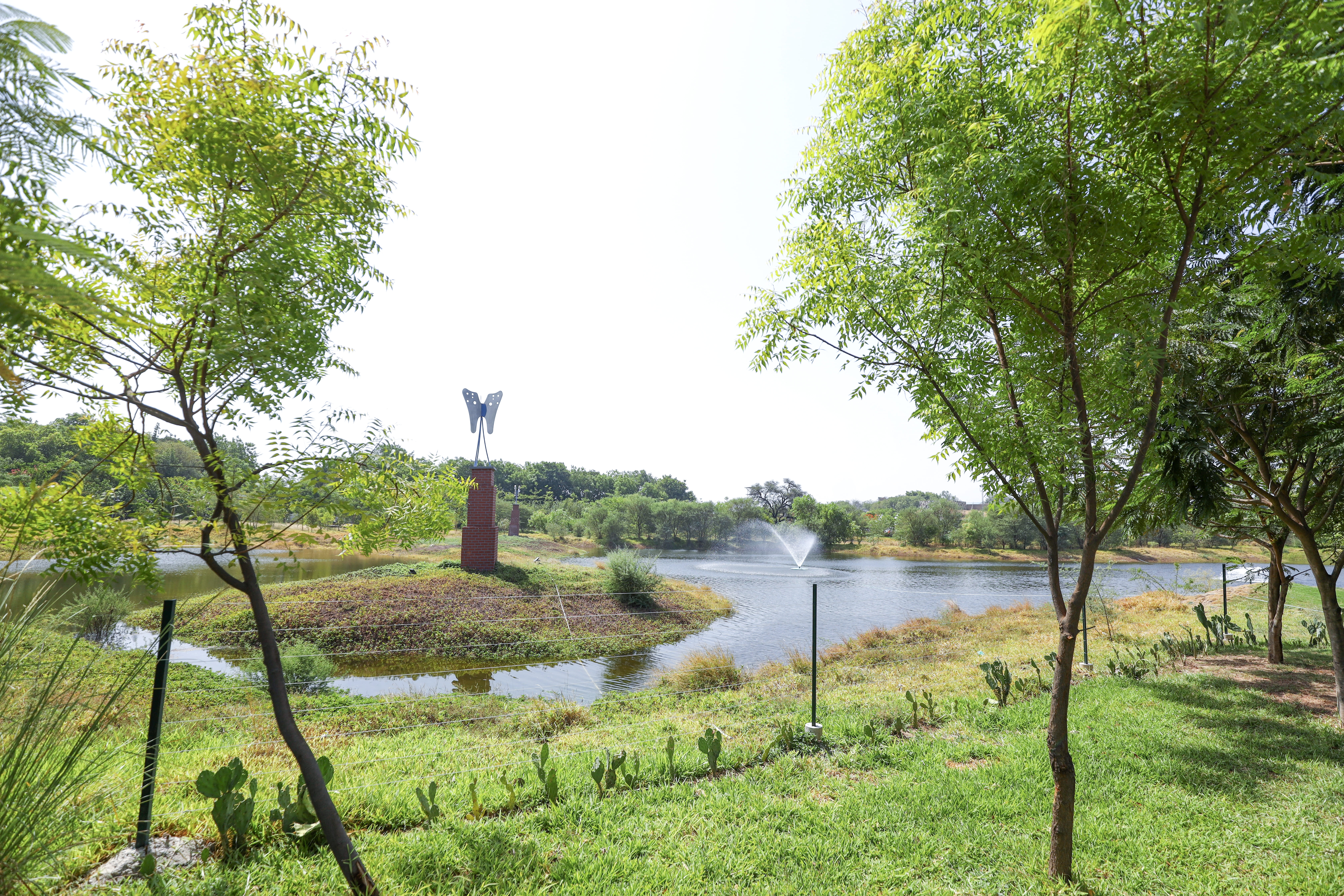 Union Home Minister and Minister of Cooperation Shri Amit Shah today inaugurated and laid the foundation stones for ponds in various areas of Gandhinagar, Gujarat.